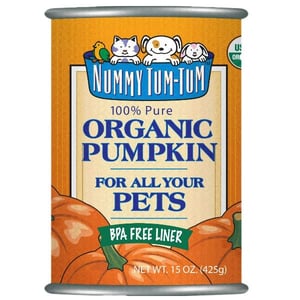 10 Health Benefits of Pumpkin for Dogs